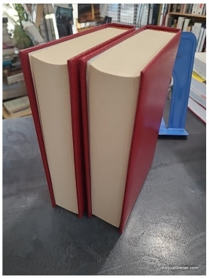 La Bougainvillée Tome 1 et 2 - Le Raid Pékin Paris - Pour Amuser Les Coccinelles