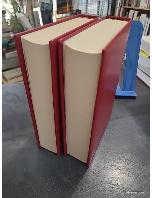 La Bougainvillée Tome 1 et 2 - Le Raid Pékin Paris - Pour Amuser Les Coccinelles