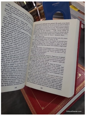 La Bougainvillée Tome 1 et 2 - Le Raid Pékin Paris - Pour Amuser Les Coccinelles