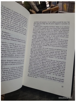 Ils ont vu l'au-delà - Soixante histoires vraies et pourtant incroyables