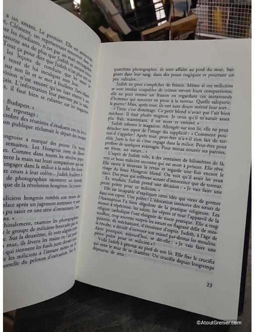 Ils ont vu l'au-delà - Soixante histoires vraies et pourtant incroyables
