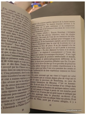 Plaidoyer pour le bonheur de Matthieu Ricard