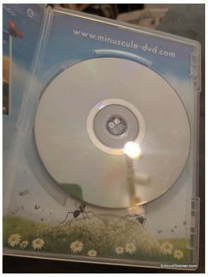 Minuscule (La vie privée des insectes) DVD 4 (DVD)