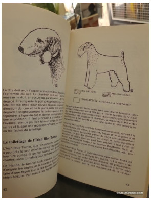 Le Toilettage Des Chiens - Maurice Luquet et Germaine Luquet