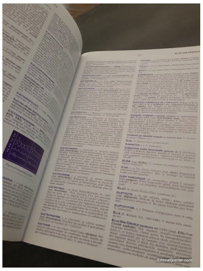 Dictionnaire illustré des termes de médecine Garnier-Delamare - Marcel Garnier