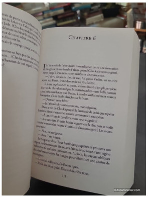 Raven Blade - Tome 2 - Le Chant Noir - Anthony Ryan