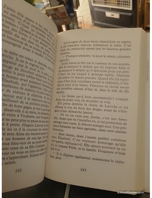 Les Lumieres De Broadway - Marie-Bernadette Dupuy