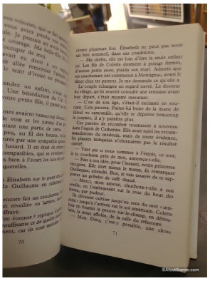 L'orpheline de Manhattan - Marie-Bernadette Dupuy