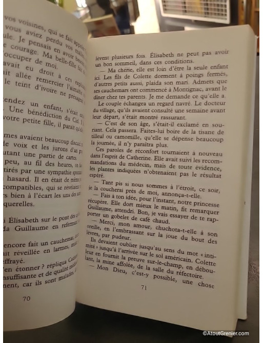 L'orpheline de Manhattan - Marie-Bernadette Dupuy