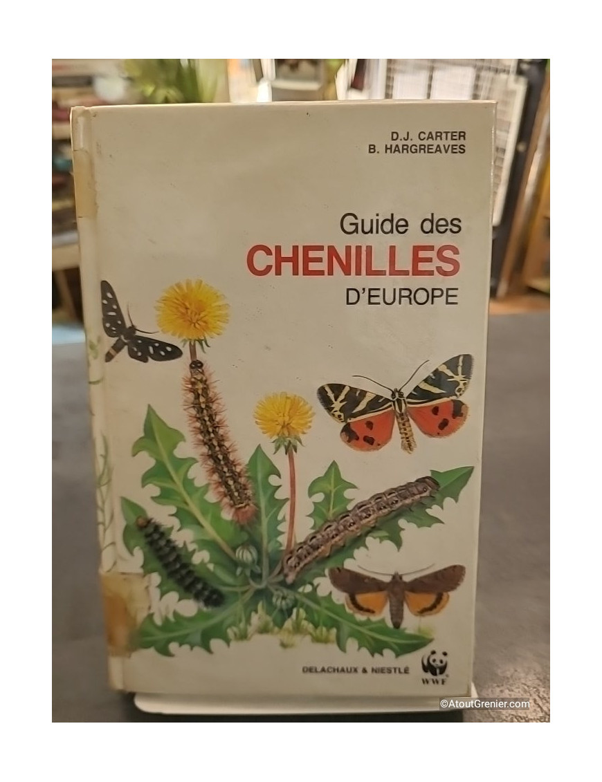 Guide des chenilles d'Europe - Pierre Rambur