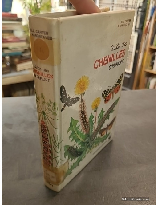 Guide des chenilles d'Europe - Pierre Rambur