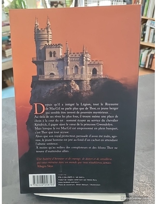 La Marche des Rois - L'anneau du sorcier - Tome 2 - Morgan Rice