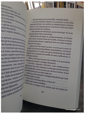 La Marche des Rois - L'anneau du sorcier - Tome 2 - Morgan Rice