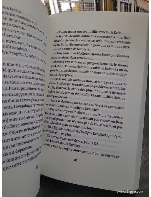 La Marche des Rois - L'anneau du sorcier - Tome 2 - Morgan Rice
