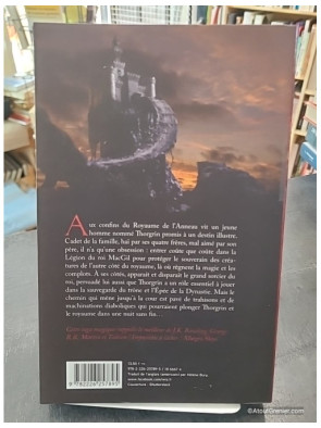 La Quête du héros - L'anneau du sorcier - Tome 1 - Morgan Rice