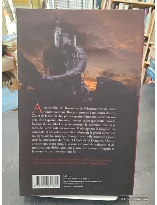 La Quête du héros - L'anneau du sorcier - Tome 1 - Morgan Rice
