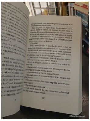 La Quête du héros - L'anneau du sorcier - Tome 1 - Morgan Rice