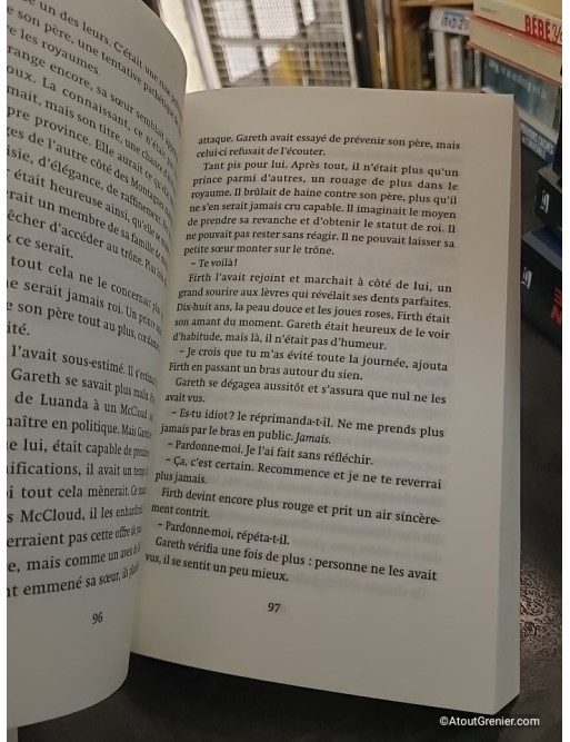 La Quête du héros - L'anneau du sorcier - Tome 1 - Morgan Rice