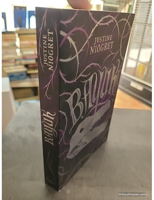 Bayuk - Roman young adult Dark Fantasy dès 13 ans - Justine Niogret
