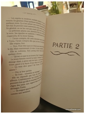 Bayuk - Roman young adult Dark Fantasy dès 13 ans - Justine Niogret