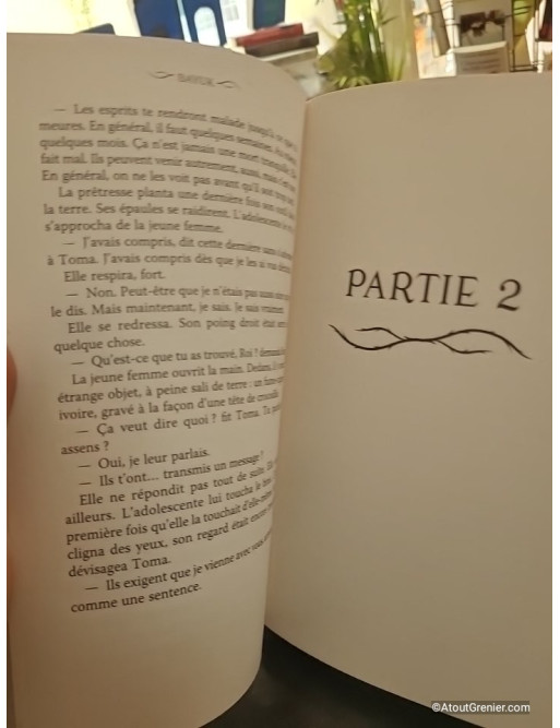 Bayuk - Roman young adult Dark Fantasy dès 13 ans - Justine Niogret