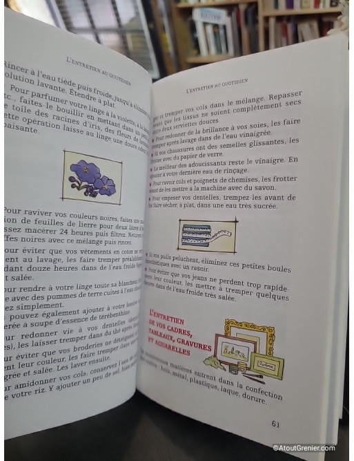 Les petits trucs de ma grand-mère - Santé, entretien, jardinage, animaux, astuces, bricolage - Clarisse Jollet