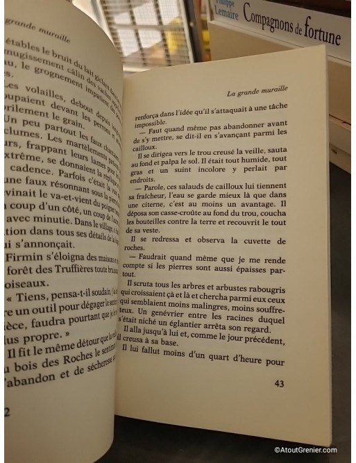 La Grande Muraille - Claude Michelet