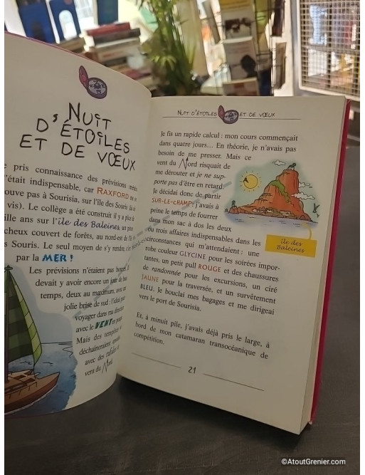 Téa Sisters Tome 1 - Le Code du Dragon - Téa Stilton