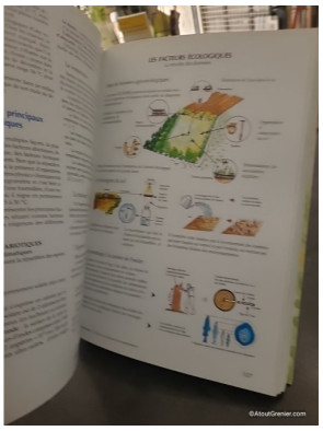 Le Guide Illustré De L'écologie - Bernard Fischesser