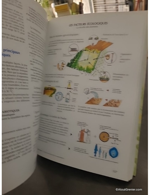 Le Guide Illustré De L'écologie - Bernard Fischesser