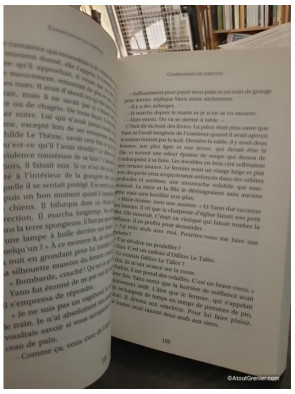 Compagnons de fortune - Philippe Lemaire