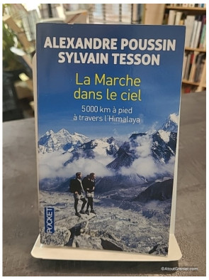 La marche dans le ciel - 5 000 kilomètres à pied à travers l'Himalaya - Alexandre Poussin, Sylvain Tesson