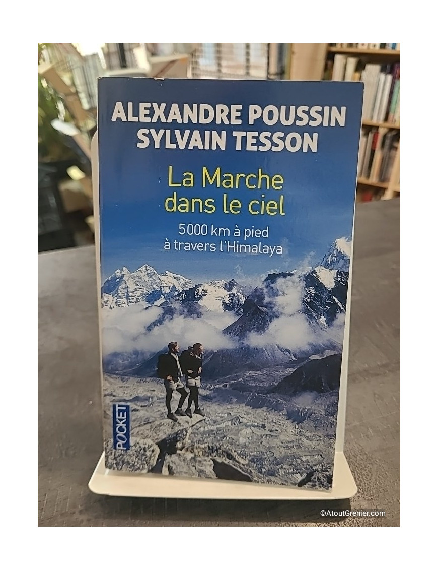 La marche dans le ciel - 5 000 kilomètres à pied à travers l'Himalaya - Alexandre Poussin, Sylvain Tesson