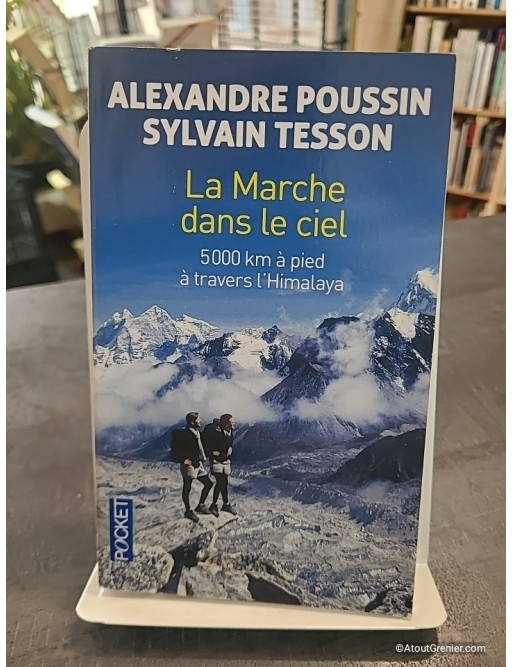 La marche dans le ciel - 5 000 kilomètres à pied à travers l'Himalaya - Alexandre Poussin, Sylvain Tesson