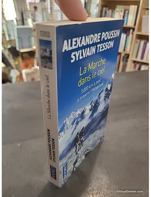 La marche dans le ciel - 5 000 kilomètres à pied à travers l'Himalaya - Alexandre Poussin, Sylvain Tesson