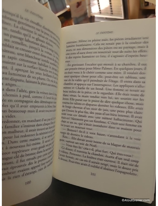 Le fantôme - Danielle Steel