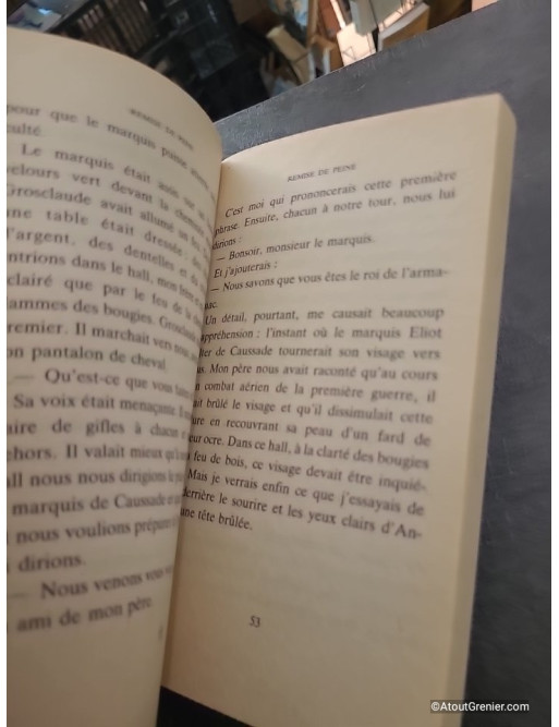 Remise de peine de Patrick Modiano
