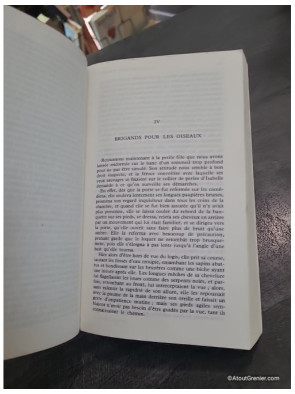 Le Capitaine Fracasse de Théophile Gautier