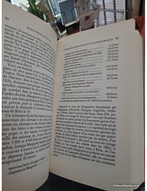 Marguerite de Valois de Janine Garrisson