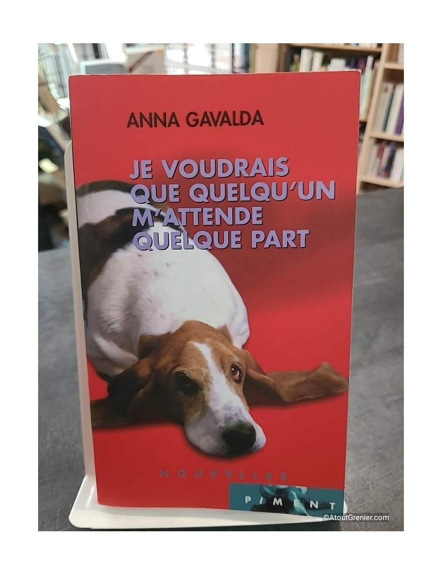 Je Voudrais Que Quelqu'Un M'Attende Quelque Part de Anna Gavalda