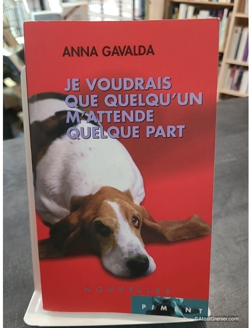 Je Voudrais Que Quelqu'Un M'Attende Quelque Part de Anna Gavalda