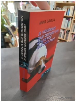Je Voudrais Que Quelqu'Un M'Attende Quelque Part de Anna Gavalda
