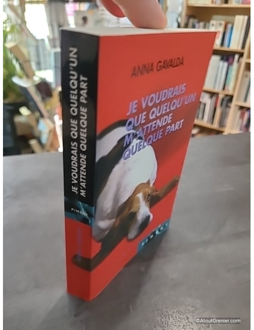 Je Voudrais Que Quelqu'Un M'Attende Quelque Part de Anna Gavalda