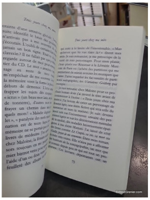 Trois jours chez ma mère - Prix Goncourt 2005 de François Weyergans