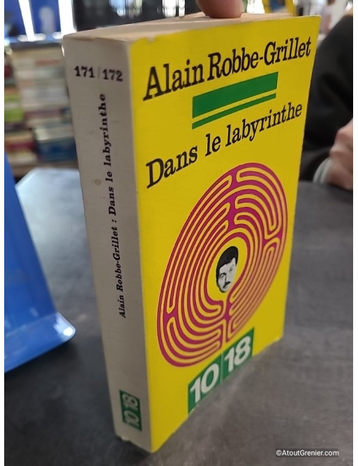 Dans le labyrinthe / Vertige fixé - Alain Robbe-Grillet, Gérard Genette