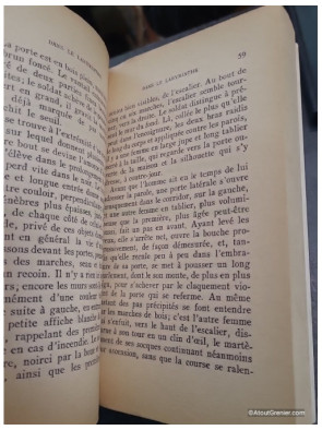 Dans le labyrinthe / Vertige fixé - Alain Robbe-Grillet, Gérard Genette
