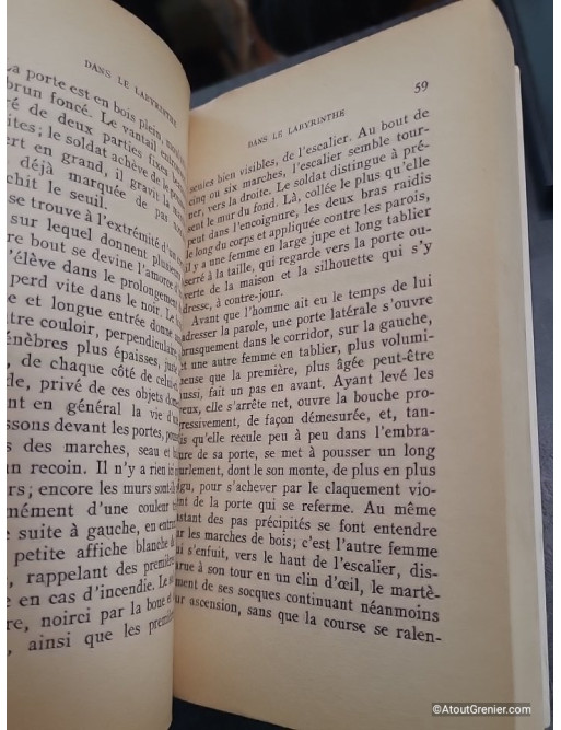 Dans le labyrinthe / Vertige fixé - Alain Robbe-Grillet, Gérard Genette