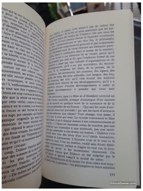 Diderot - Pierre Lepape