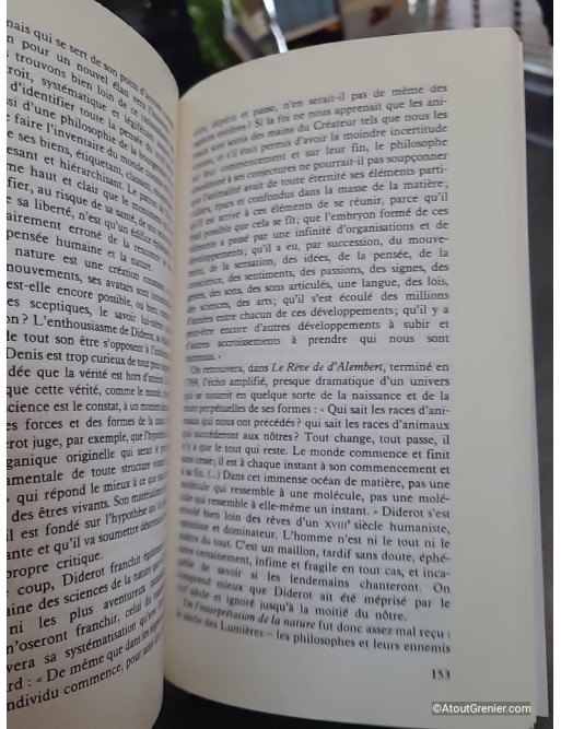 Diderot - Pierre Lepape