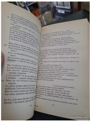 Feu pâle - Vladimir Nabokov